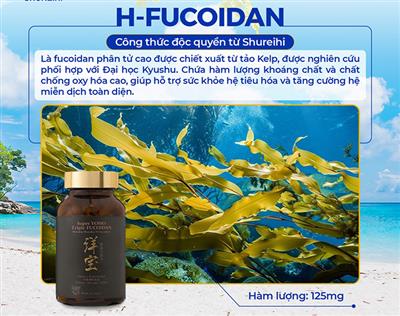 Tảo nâu Durvillaea tinh khiết nền tảng sinh học của Fucoidan chất lượng cao