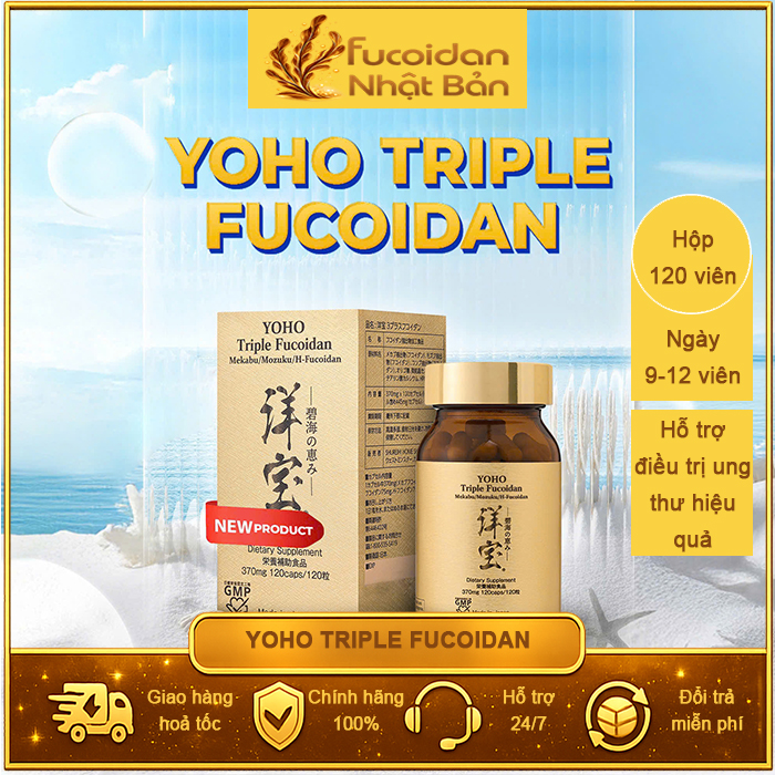 Yoho Triple Fucoidan - Fucoidan 3 thành phần tảo nâu. Hộp 120 viên