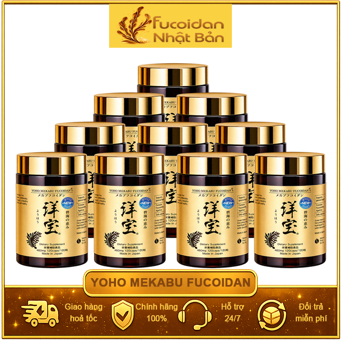 Liệu Trình 10 Hộp Yoho Mekabu Fucoidan Nhật Bản. Mỗi Hộp 120 viên