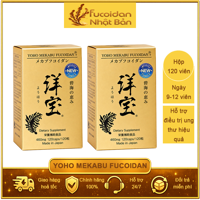 Liệu Trình 2 Hộp Yoho Mekabu Fucoidan Nhật Bản. Mỗi Hộp 120 viên